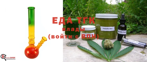 индика Арсеньев