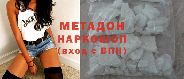 индика Арсеньев