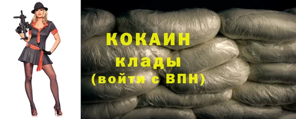 индика Арсеньев