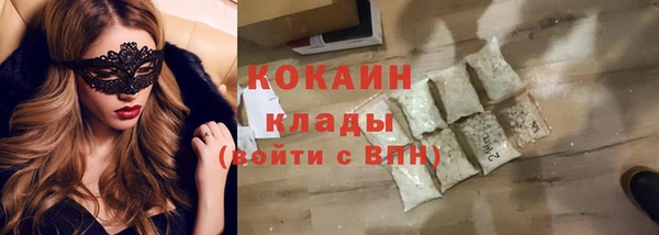 индика Арсеньев