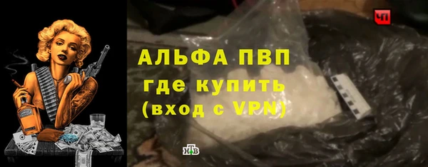 spice Аркадак