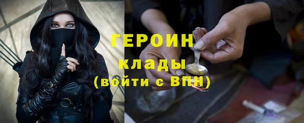 индика Арсеньев