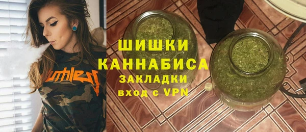 индика Арсеньев