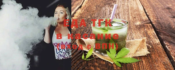 индика Арсеньев