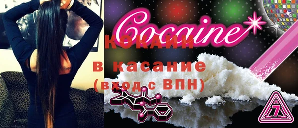 прущие грибы Рославль