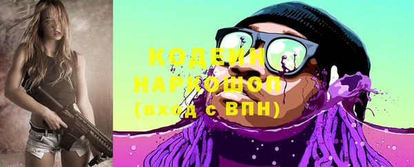 индика Арсеньев