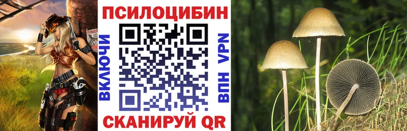 Псилоцибиновые грибы GOLDEN TEACHER  Сергач 
